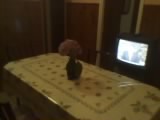 comedor con tv